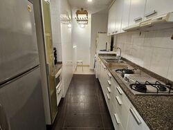 Amaryllis Ville (D11), Condominium #438100381